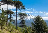 Chile